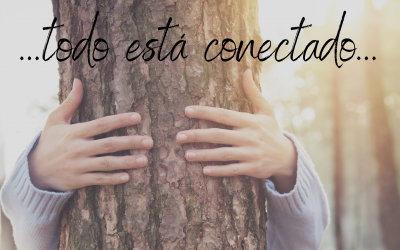Todo está conectado