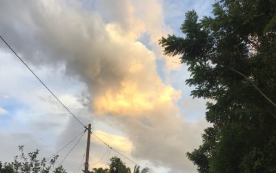 Volviendo de los lejos