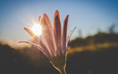 En cualquier circunstancia, llamados siempre a la Misión